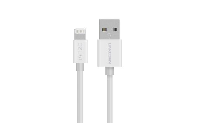 Linkcomn Lightning To USB Cable Iphone 1m